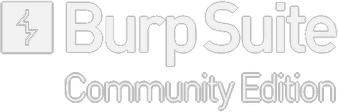 Burp Suite